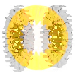 Unmounted Ventilated Bias Buffing Wheel: 8